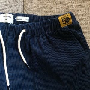 Quicksilver Corduroy Special Edition Boardshorts